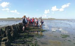 Red de Kwelder wadlooptocht