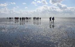 Extra wadlooptocht op 4 oktober
